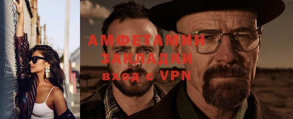 индика Михайловск