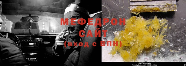 индика Михайловск