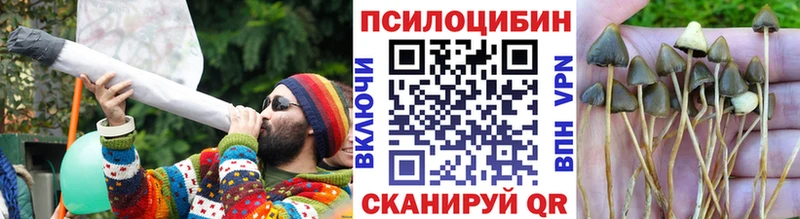 Купить где  Алдан  Галлюциногенные грибы мухоморы 